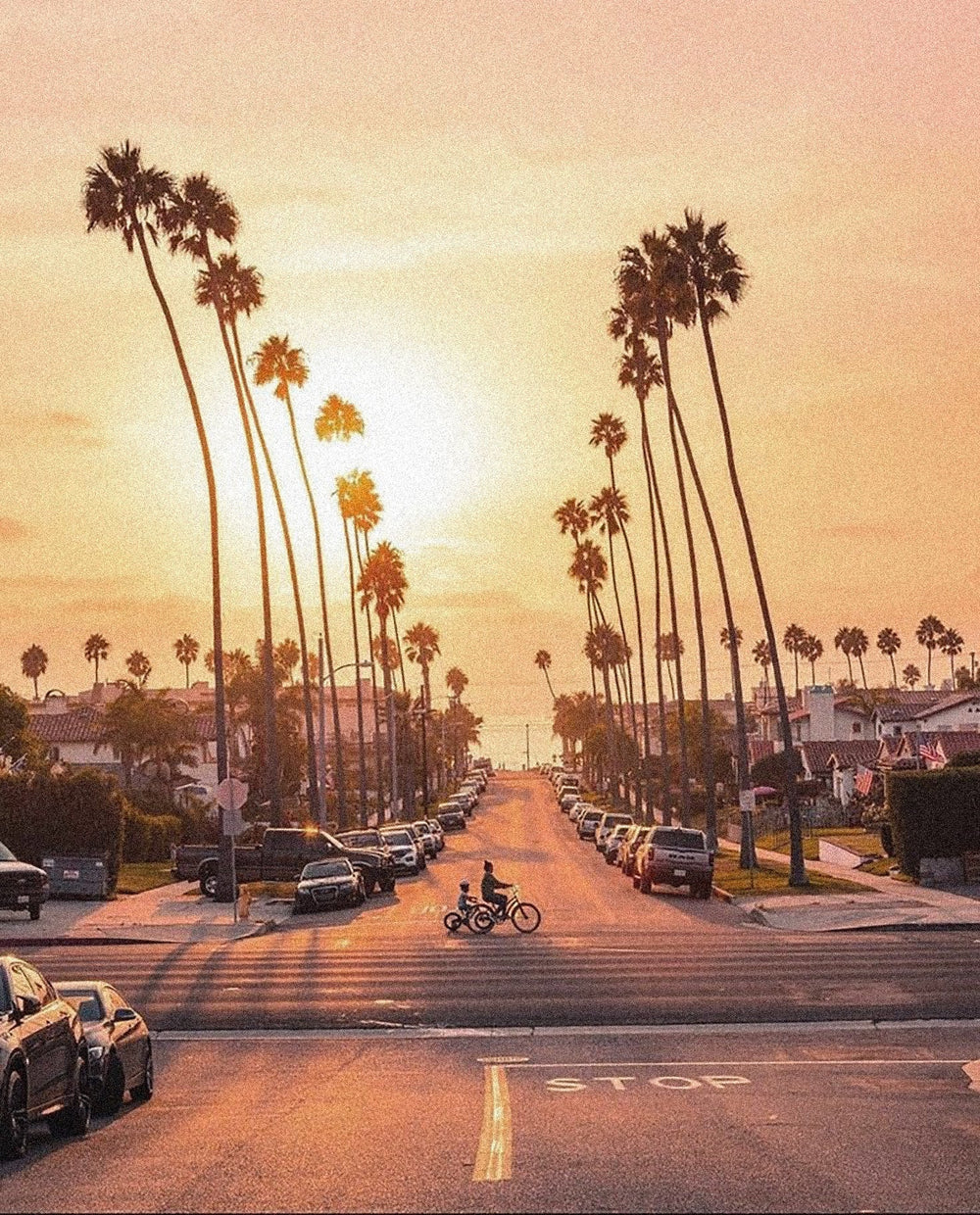 Los Angeles, photo cred: Mia Gonzalez